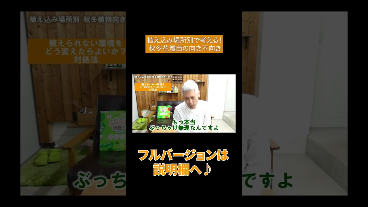 植え込み場所別で考える 秋冬花壇苗の向き不向き Shorts Youtube