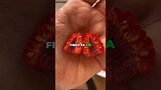 Descubre la fruta con mas folato#shortviral #fruta #frutafrescatodoslosdias #youtubeshorts