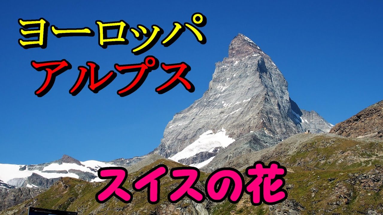 ヨーロッパアルプス 憧れのスイスと花 Youtube