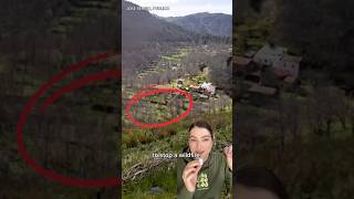 These trees helped protect a village from wildfire @Ecosia