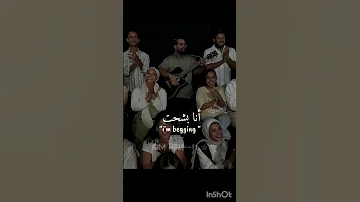 Shorts أنا بشحت بالجيتار Lyrics Trending Youtubeshorts Edit Tiktok Music ترجمة عربية Explore 