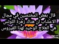 كورونا الفيروس الخطير وزهرة اللوتس
