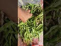 Beans #shorts #viral #trending
