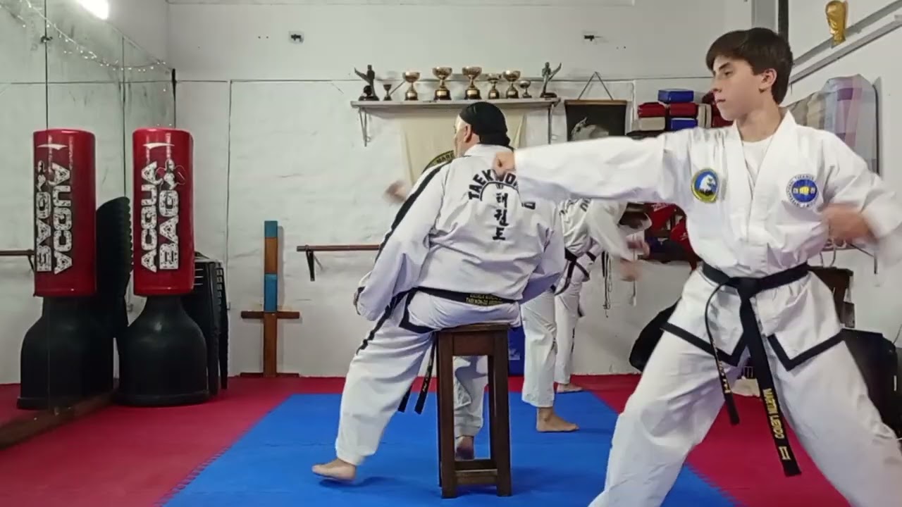 Eui - Am: 45 movimientos. Primer Tul de 2º Dan de Taekwon-do ITF. (Tutorial para el repaso del tul).