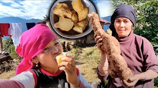 Me and my familyWe dug up squash roots and cooked them आज स्कुशको जरा खनेर पकाइ खायौ organic Roots