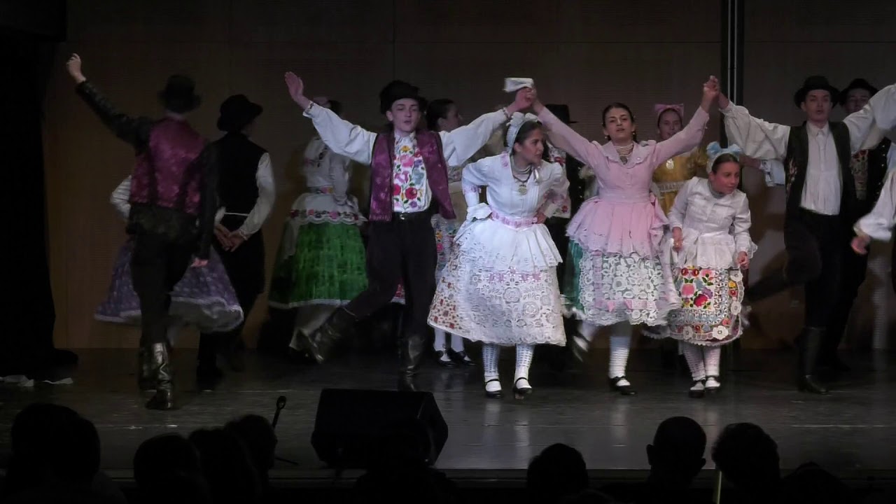 Arany Zsendice Kalocsai