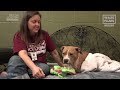 Hope Rescues Dog Dying on Trash Heap in Houston - The Dog Saviors