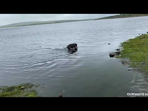 2 year old girl blue   Adventure in water