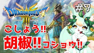 【#7】船のため！！胡椒を求めて旅に出る！！【ドラゴンクエストIII】【ネタバレあり】