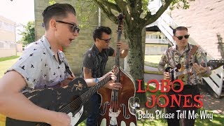 'Baby Please Tell Me Why' Lobo Jones & The Rhythm Hounds (bopflix sessions) BOPFLIX chords