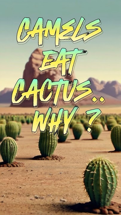How can Camels Eat Cactus? #shorts #shortsvideo #interestingfacts #