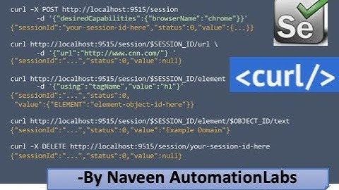 How to launch chrome using WebDriver APIs using CURL | Naveen AutomationLabs