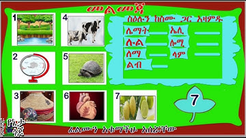 Letter Le3/enetsereab tewolde yenetagojjo1/askualla gra.1-6/@mayainfotain1/Tik.@netsereabtewolde5/