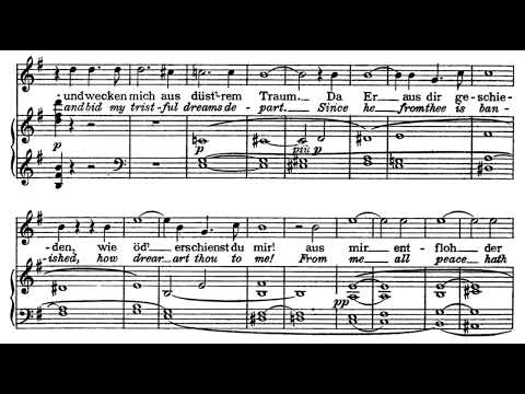 Dich, teure Halle (Tannhäuser - R. Wagner) Score Animation