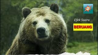 Efek suara Beruang