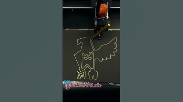 RoboArtLabor - Robot Draw the golden #eagle 🦅🇩🇪 #usa #plotterart #drawing #nature #wild #fly #flight