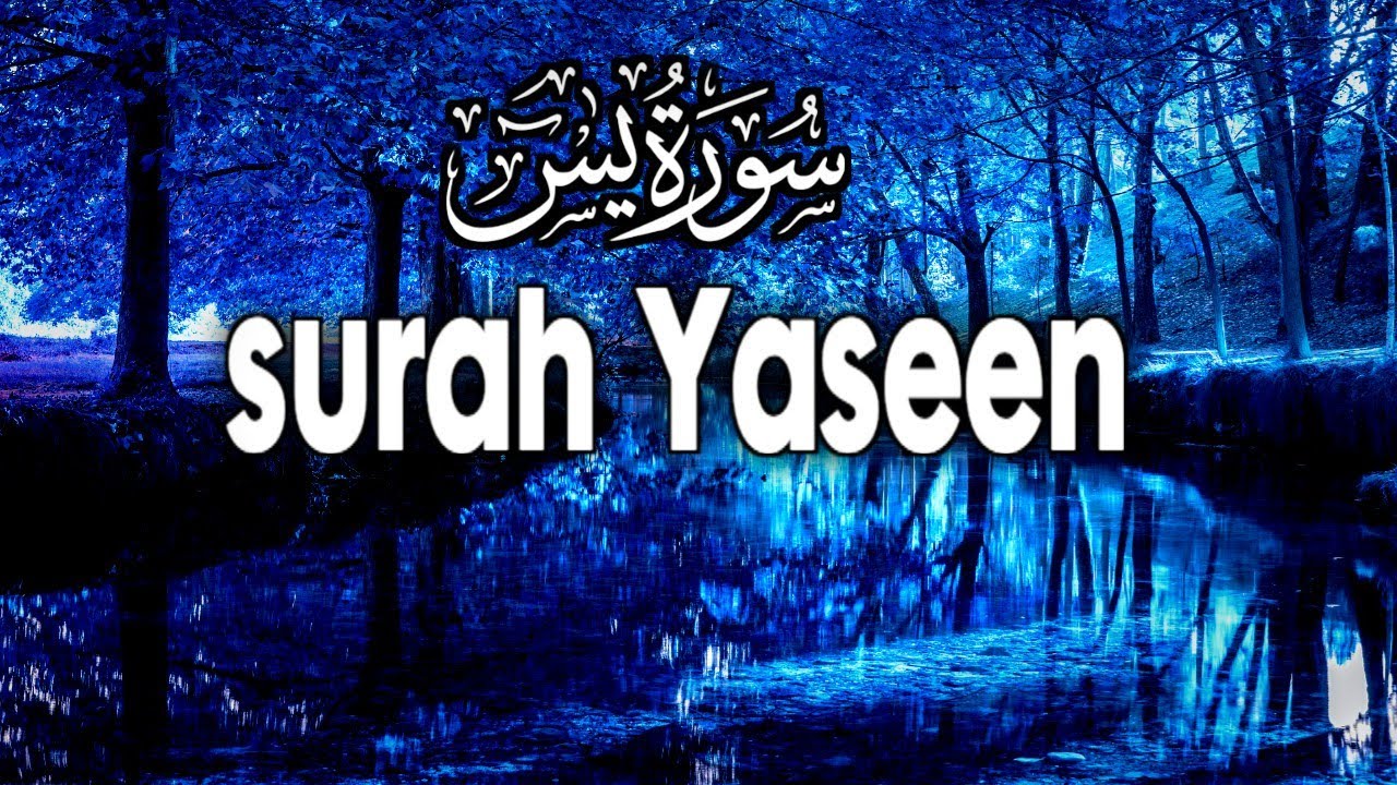 Surah Yaseen 5 Times | Dil Ko Sukoon Dene Wali Tilawat | Full Surah Yaseen