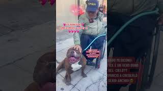 Il Video Più Vello Che Vedrai Oggi.