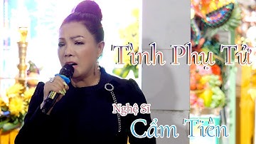 Bài Hát: Tình Phụ Tử  | Nghệ Sĩ Cẩm Tiên | Nhạc Tân Cổ