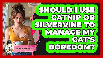 Should I Use Catnip Or Silvervine To Manage My Cat