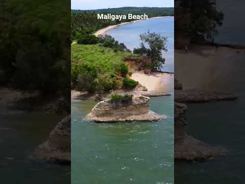 Maligaya Beach 