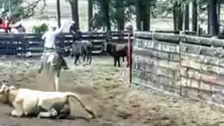 Coleadera en San Antonio de las truchas sierra de San Dimas Durango