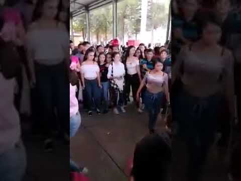 Bailando dura dura