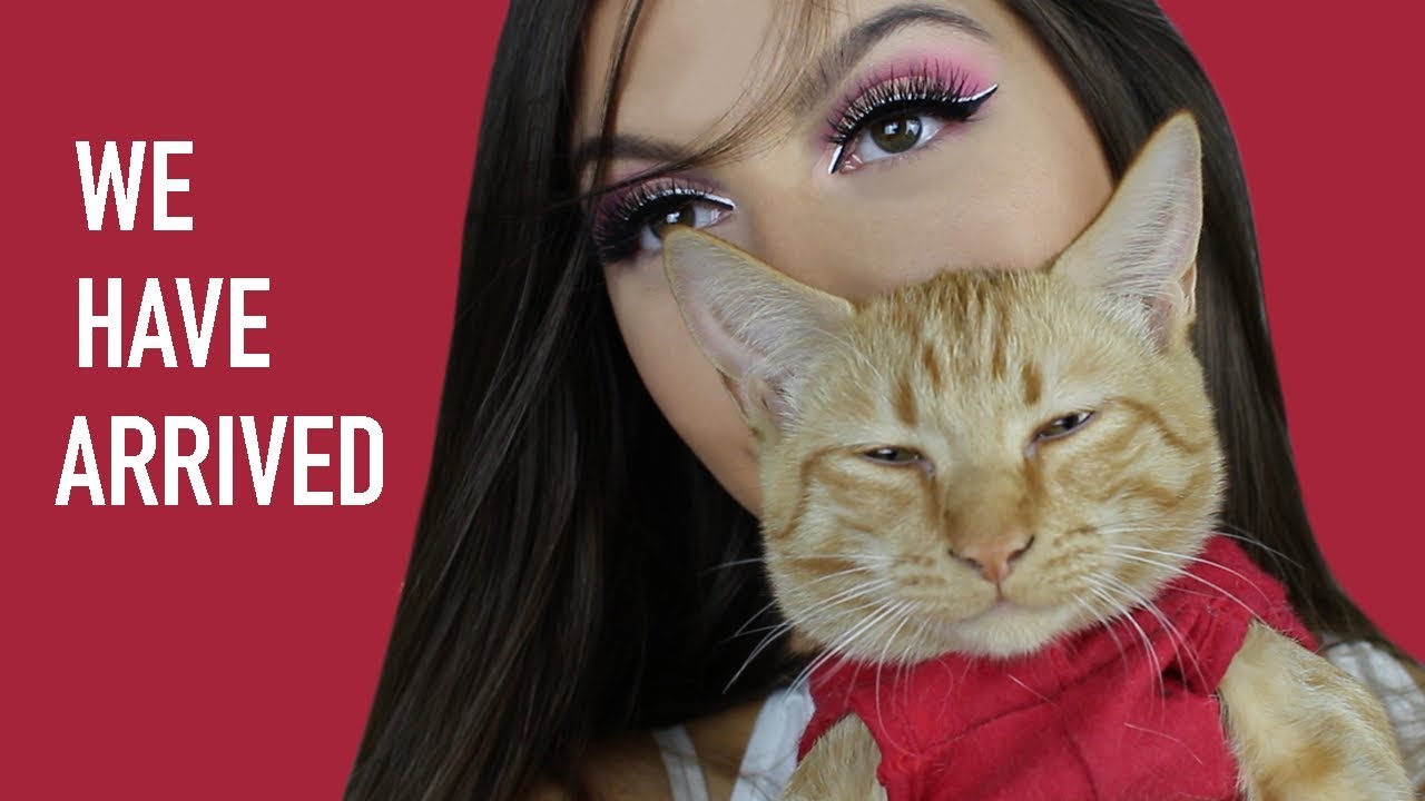 Pink Double Winged Cut Crease | Morphe 35B Palette