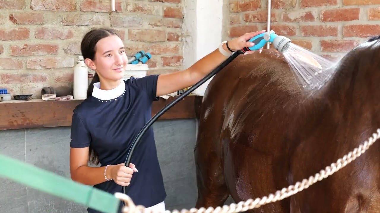 Sedmo kolo Croatia Cupa u dresurnom jahanju