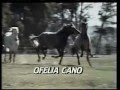 Entrada de De Pura Sangre