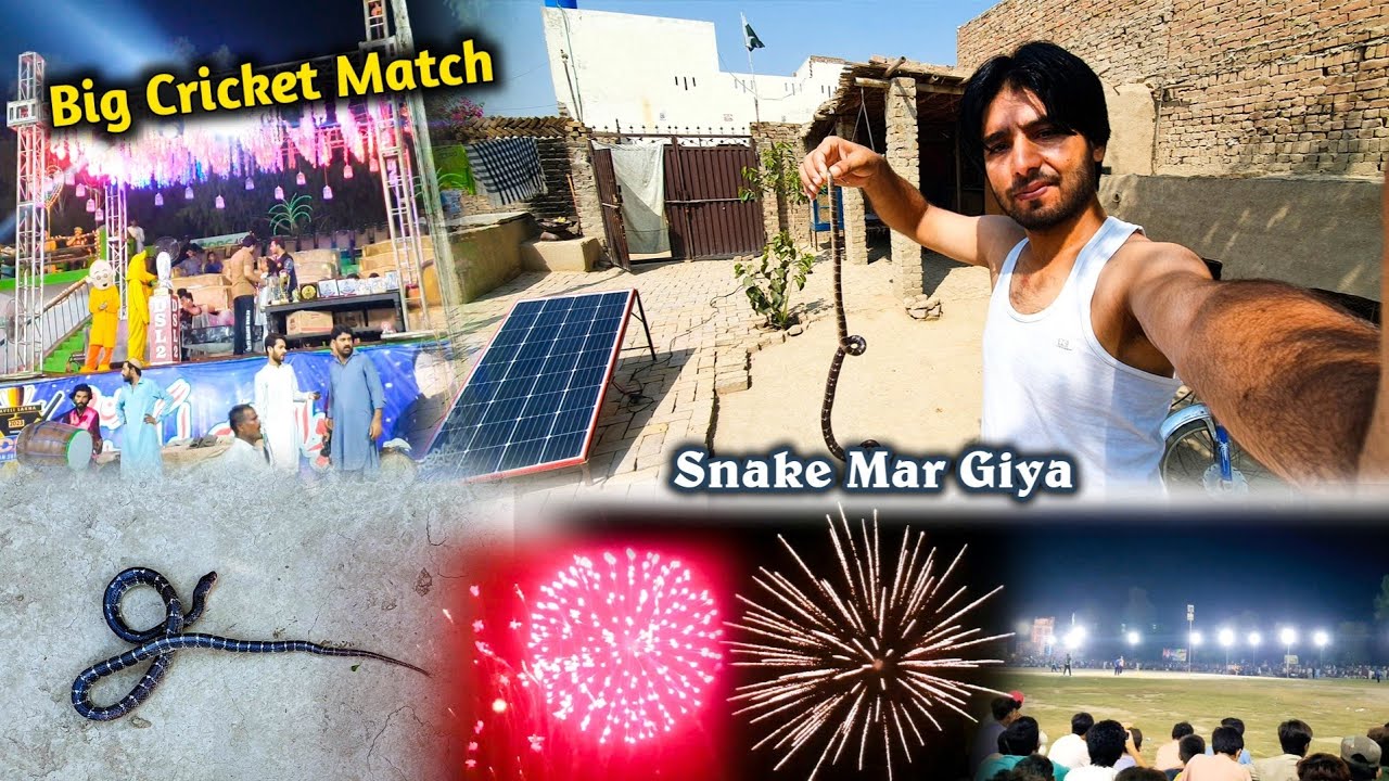 Snake mar giya-Cricket match dekhne gaye or😯