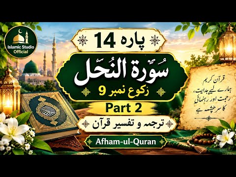پارہ 14 | سورۃ النحل رکوع 9 | Part 2 | ترجمہ و تفسیر قرآن | Afham-ul-Quran
