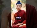 Focus on present not after death Buddha wisdom | वर्तमान में जियो और दुख दूर करो 🧘 बुद्ध शिक्षा सत्य