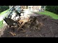 Digging out stumps with a mini excavator