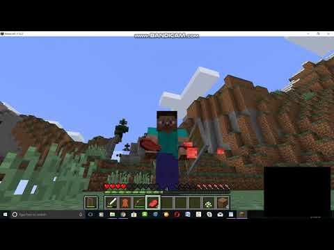 თამაში ჩემს მეგოართან ერთად გუნდაობა, ზომბების მოკვლა და საჭმლის ძიება