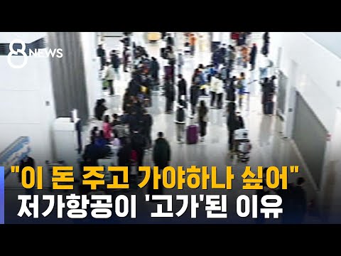   이 돈 주고 가야 하나 싶어 저가항공이 고가 된 이유 SBS 8뉴스