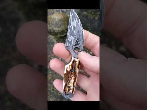 custom wharncliffe dashi. stainless damascus with stag scales
