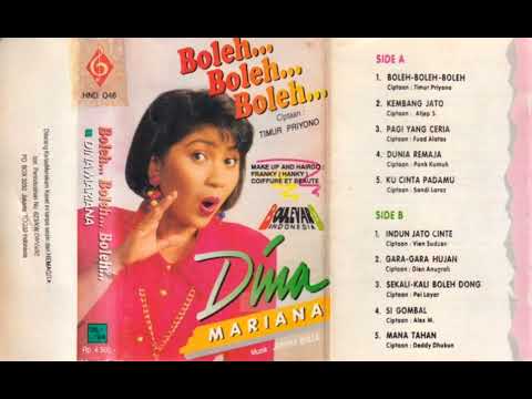 Boleh Boleh Boleh Voc. Dina Mariana ( Disco Dangdut Lawas )
