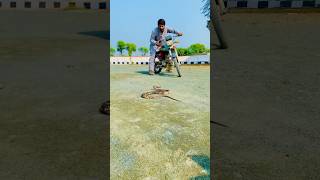 Yellow Snake Attack The ￼Motorcycle Boy