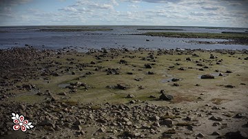 Protecting the Seal River Estuary
