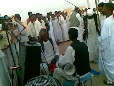 الرباطاب حافظ موسى دخله