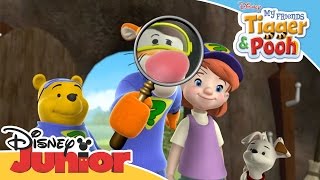 My Friends Tigger and Pooh - Promo |  Disney Junior Africa