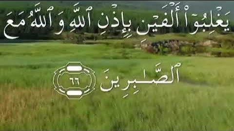 سورة الانفال صفحة ١٨٥ مكتوبة مكررة بصوت عذب للغامدي