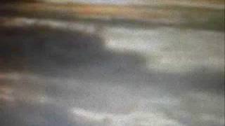 Lenka- We will not Grow old- Twenteens