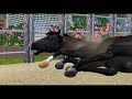 Sims 3 Horse Story - Where are you?