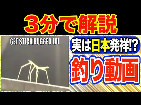 【踊るナナフシ】”Get Stick Bugged lol”の元ネタとは？【海外ミーム解説51】