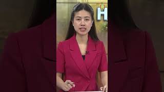 HTV - Đài Hà Nội