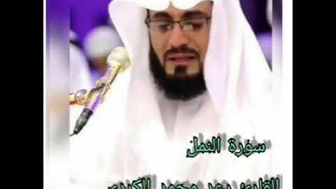 تلاوة خاشعة ومبكية للقارئ رعد محمد الكردي (جودة عالية )سورة النمل