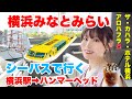 【横浜1日観光】シーバスに乗って船で横浜駅からハンマーヘッドに行く!みなとみらいを一望できるレストランでランチ!ハンマーヘッドおすすめカフェ🌺