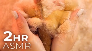 10 ASMR Triggers You’ve Never Heard of Before | 2 Hours (No Talking)